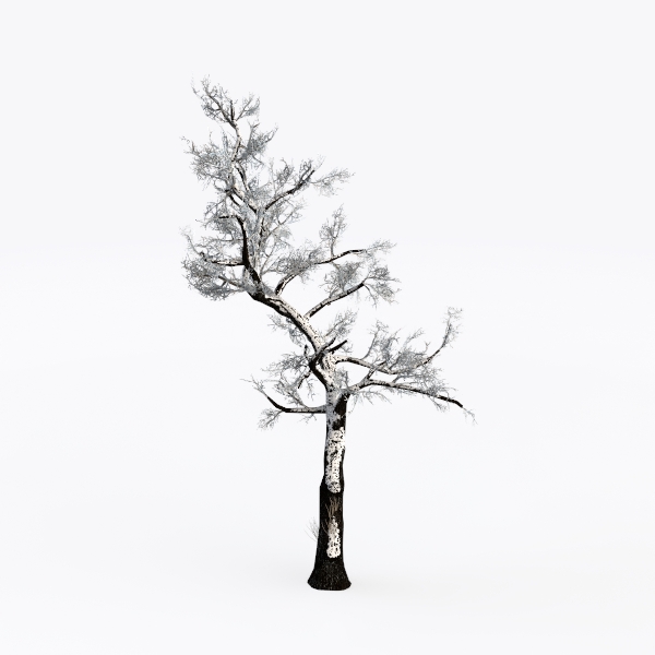 snow tree-Landscape Greenery