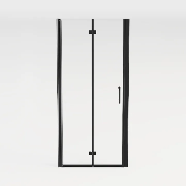 Modern Black Frame Tempered Glass Shower Door 3D Model