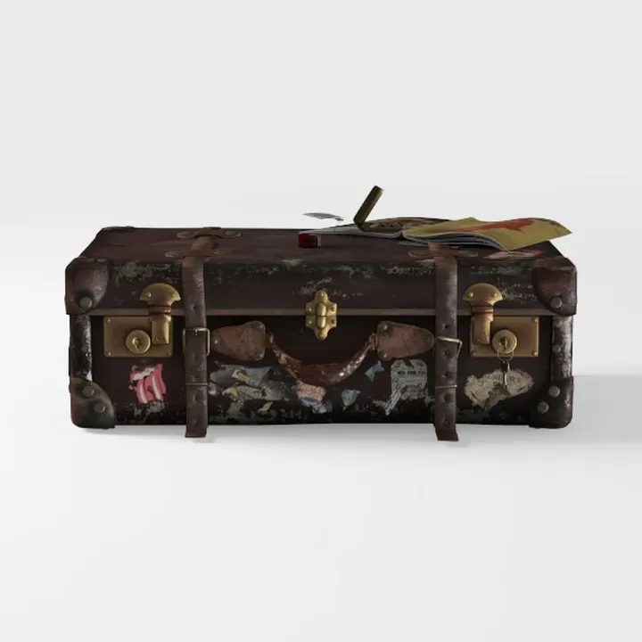 Grandma's suitcase-Modern Farmhouse