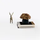 null Left 45 Degree View