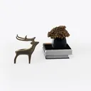 null Right 45 Degree View