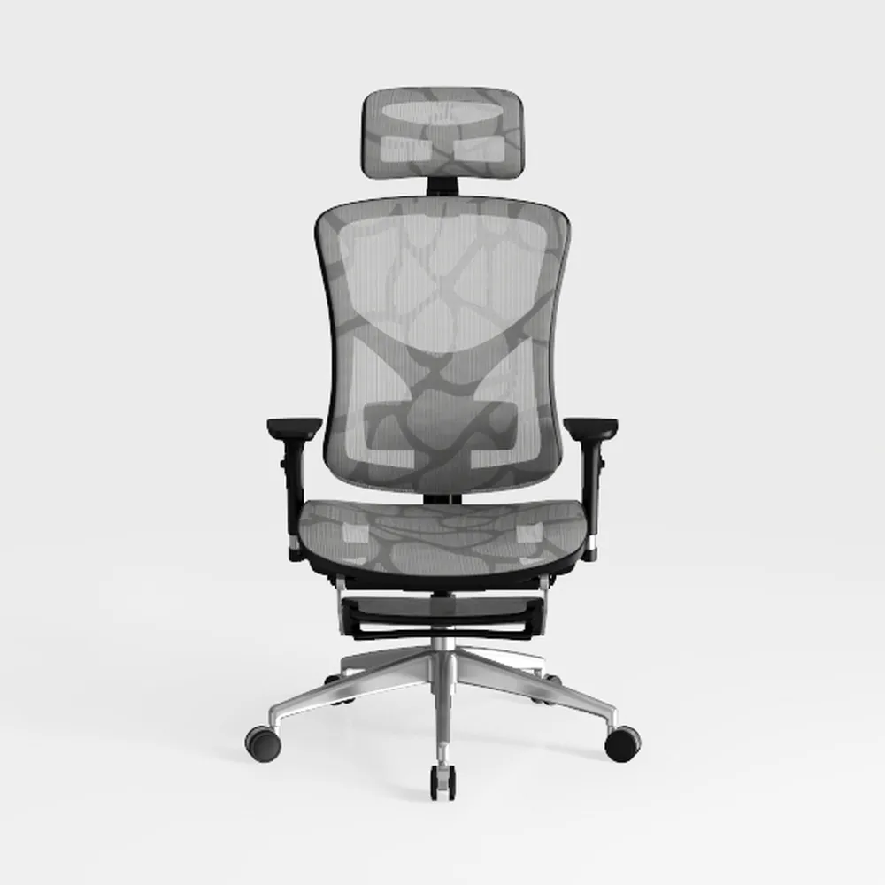 COLAMY Ergonomic Office Chair, High Back Computer