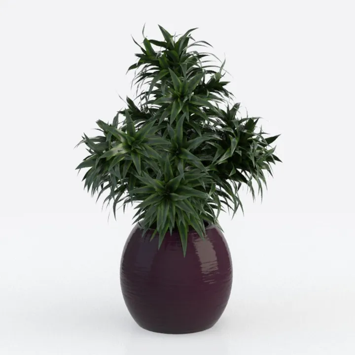 Artificial Magnolia Flowers in Decorative Red Pot,