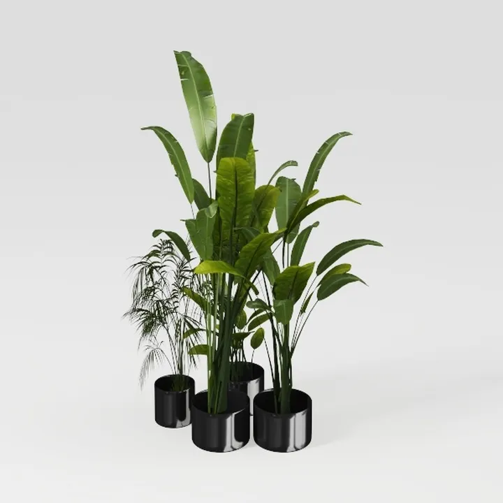 Minimalist Black Potted Faux Tropical Floor Plants 3D Model