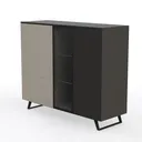 Modern Two Tone Wood Glass Display Cabinet 3D Model Left 45 Degree View