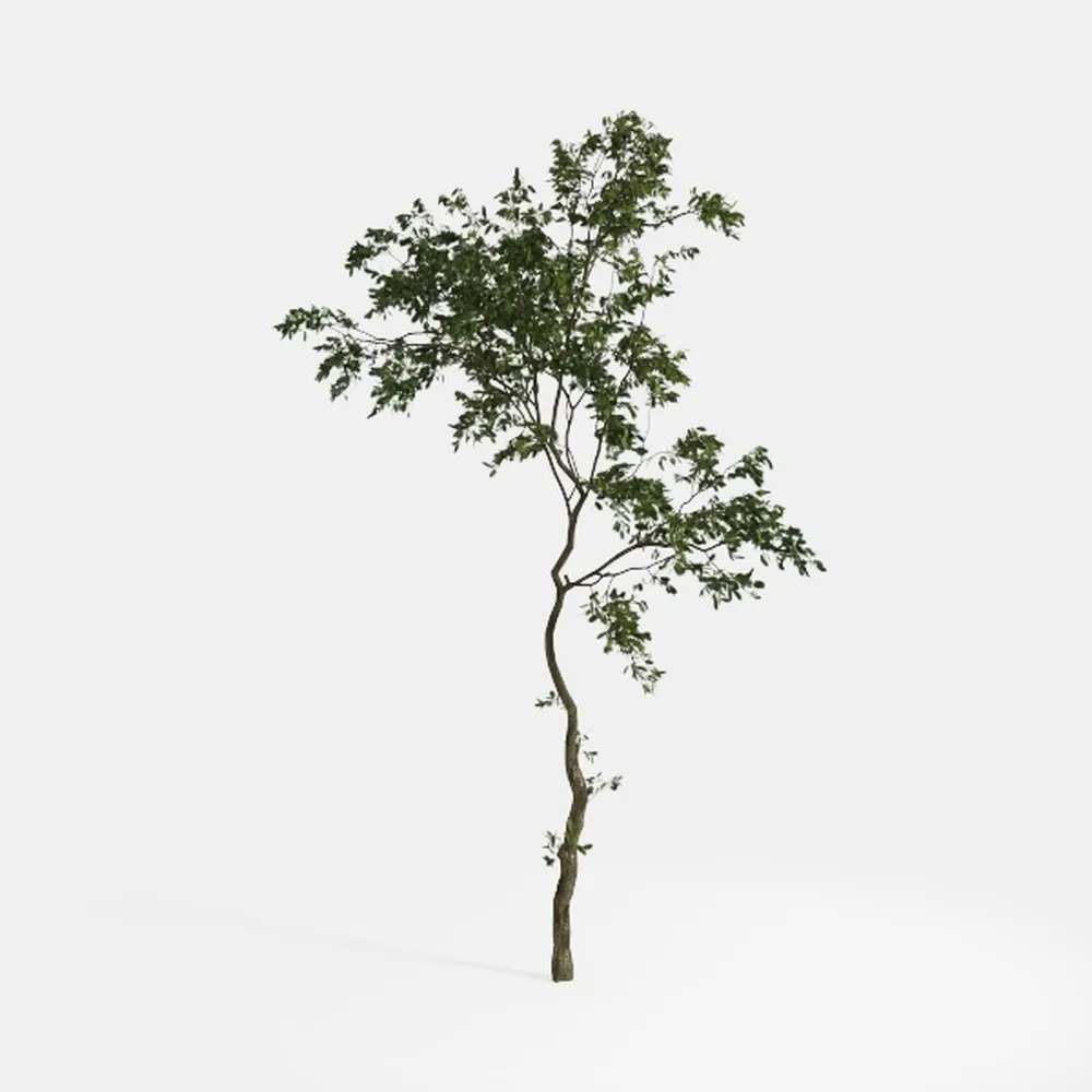 VIAGDO Artificial Olive Tree 8ft Tall Fake Potted 