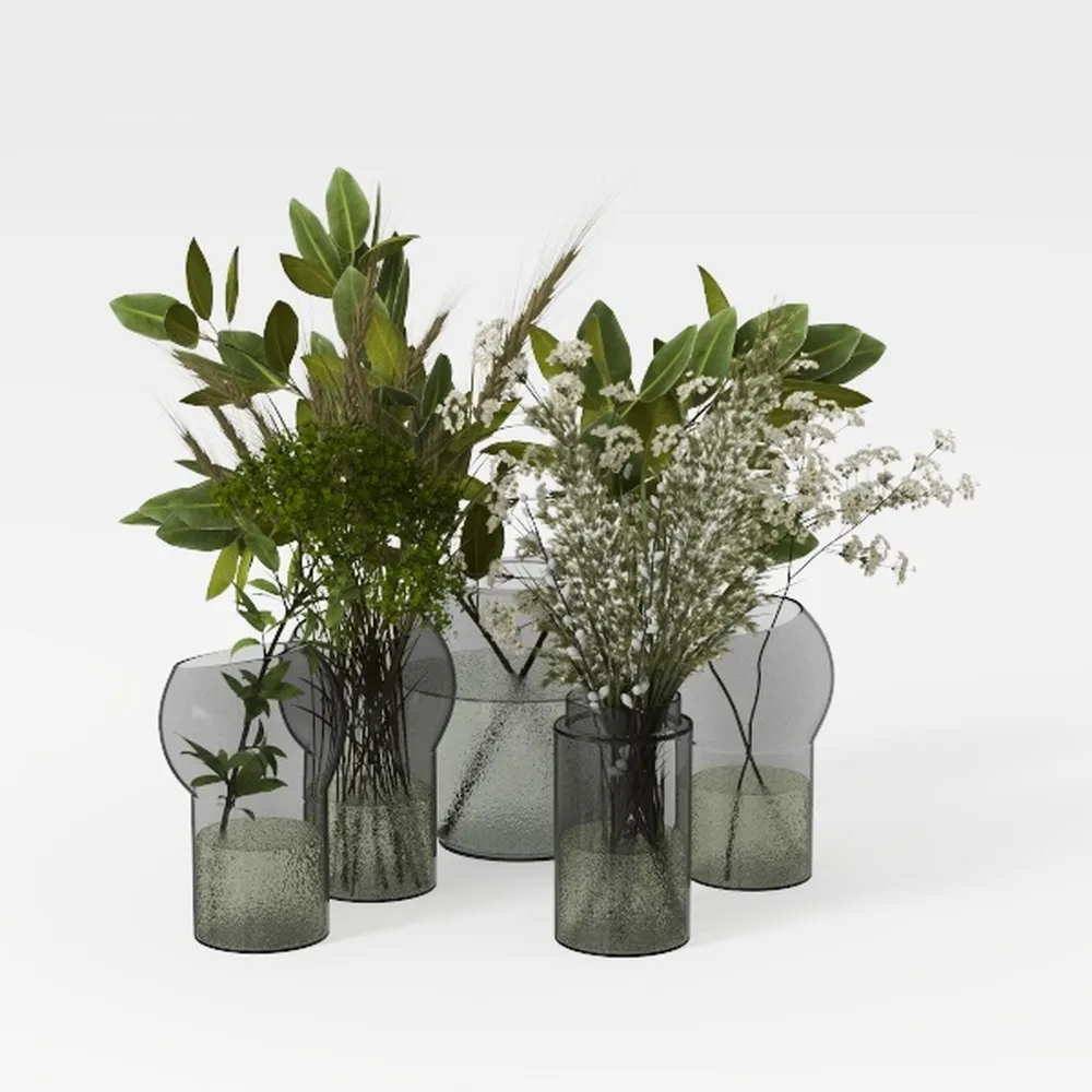 Essential Houseplant Collection (3PK) Live Plants