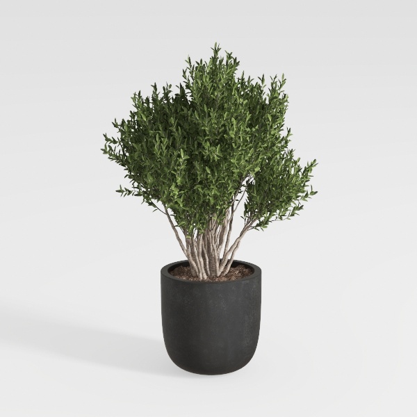 19” Artificial Cedar Outdoor Artificial Shrub