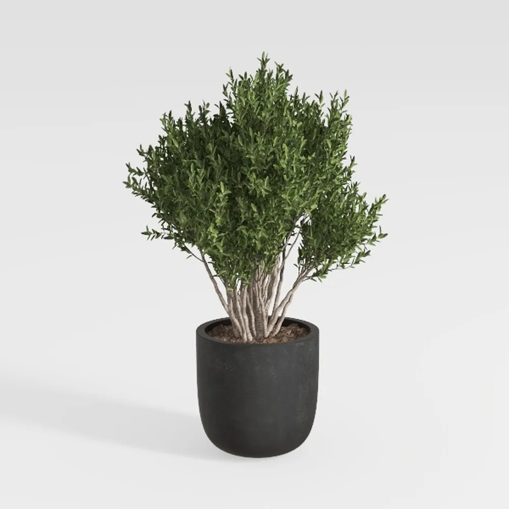 19” Artificial Cedar Outdoor Artificial Shrub