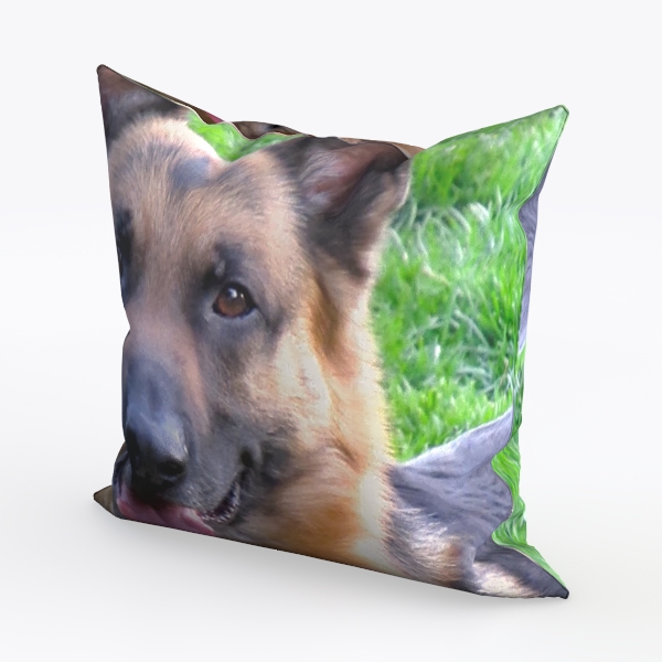 DFXSZ Fall Pillow Covers 18x18 Set of 2 Fall