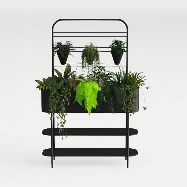 greenery-Outdoor Odyssey