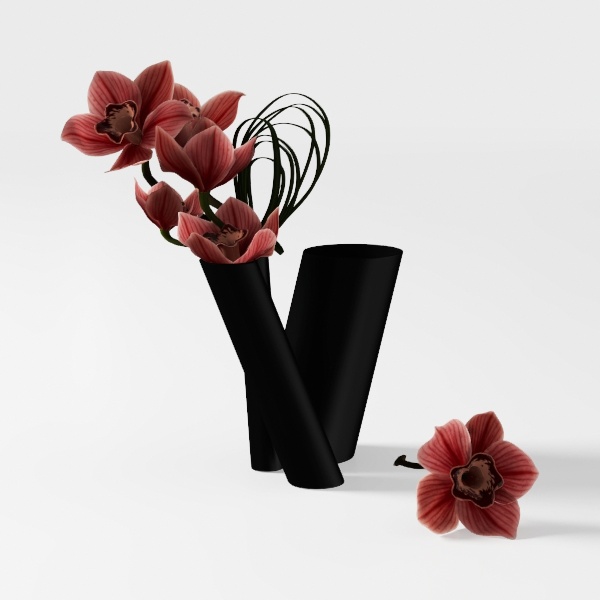 Midnight in Paris-plant