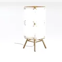 Modern Minimalist Brass Acrylic Floor Lamp 3D Model Left 45 Degree View
