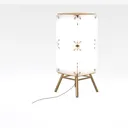 Modern Minimalist Brass Acrylic Floor Lamp 3D Model Right 45 Degree View
