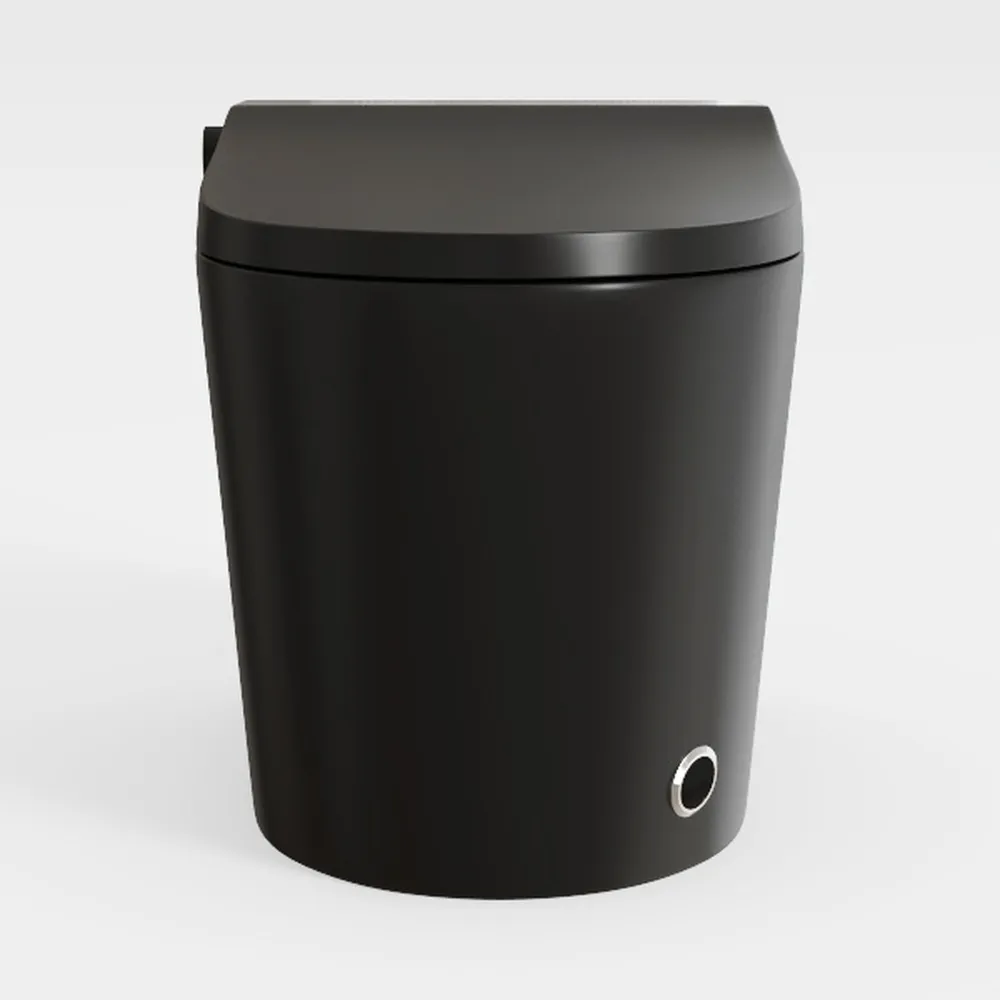 HOROW Black Smart Toilet with Pump and Bidet Built