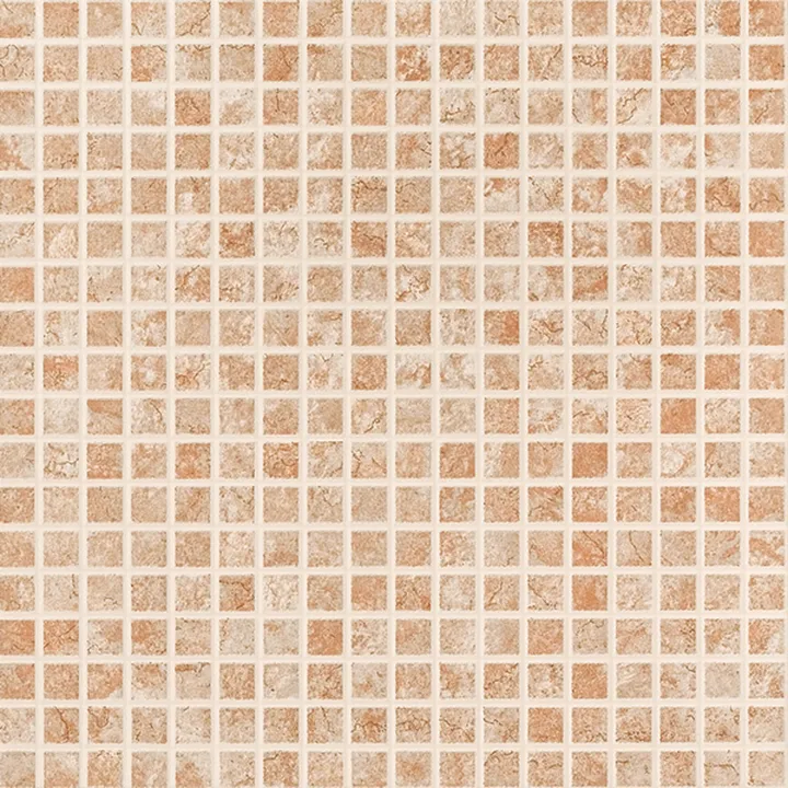 Cement Tile 491