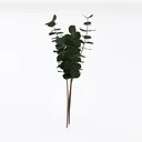 null Left 45 Degree View