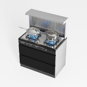 integrated cooker-Chic Kitchen