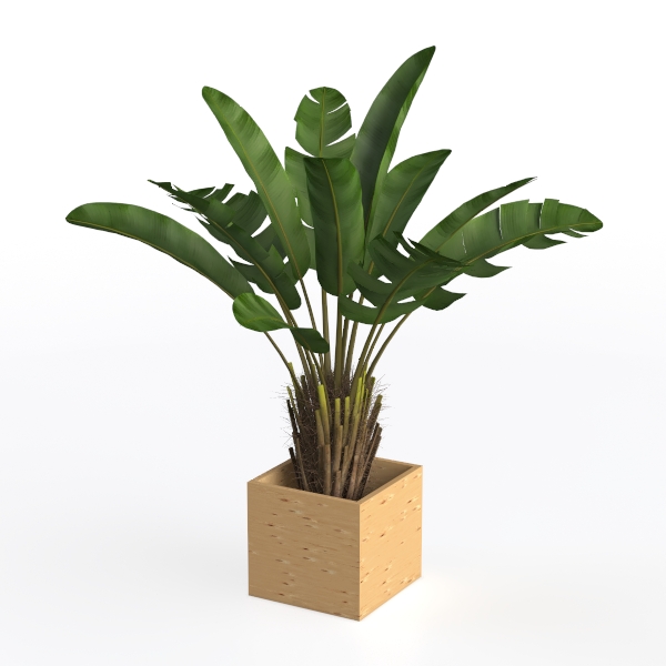 Green plant A-147