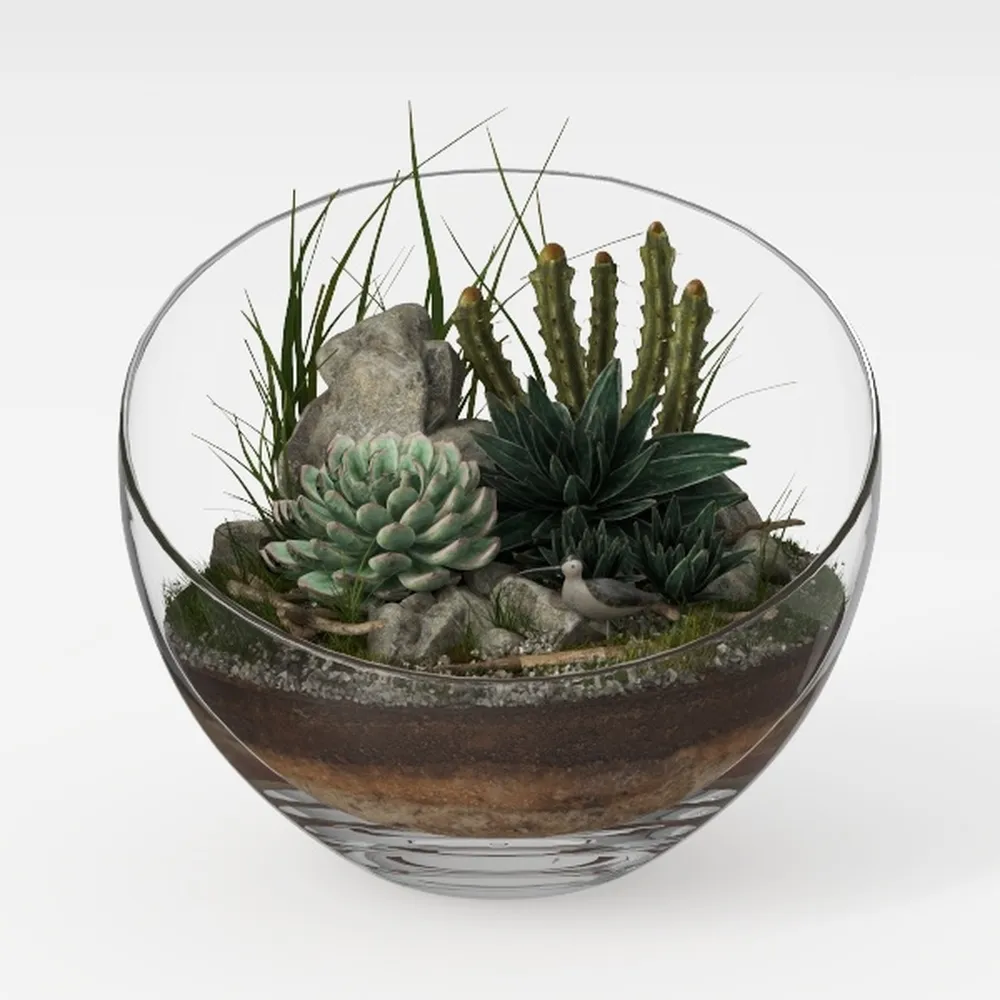 Creative Micro Landscape Transparent High Borosilicate Glass Vase Moss Succulent Plant DIY Ecological Bottle Home Decoration