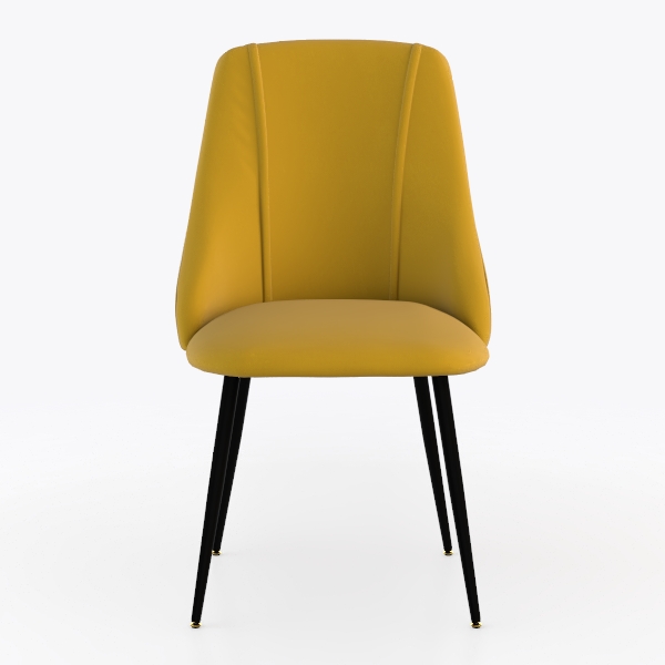 Kitchen Dining Chairs Set of 2, Carbon Steel Legs