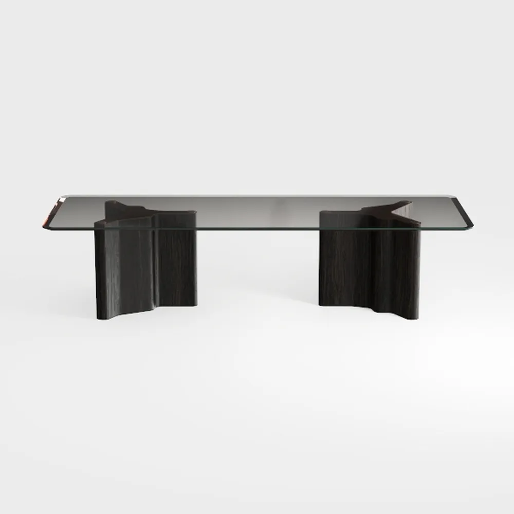 Modara 46 in. Black Large Rectangle Glass Coffee T