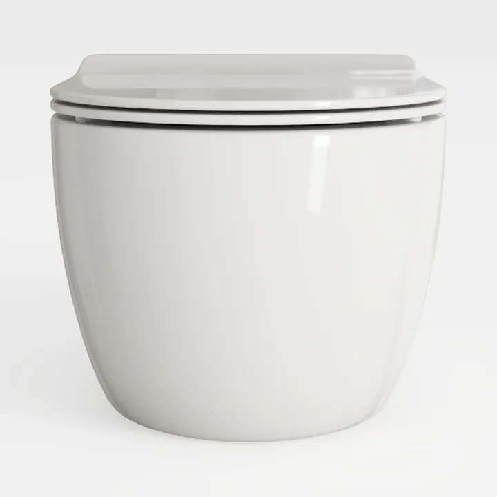 Smart Toilet with Built-in Dual Bidet Seats for