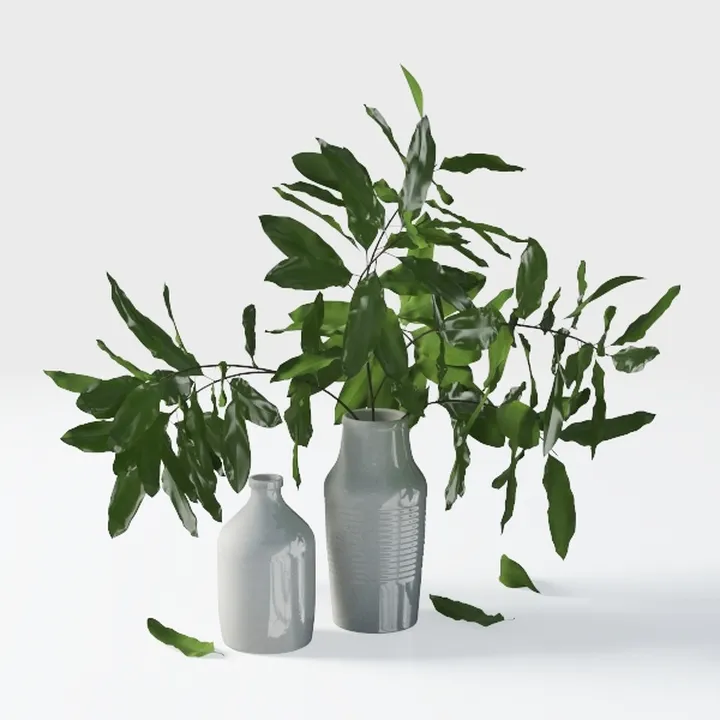 Costa Farms Live Plants (Pack of 6), Easy to Grow