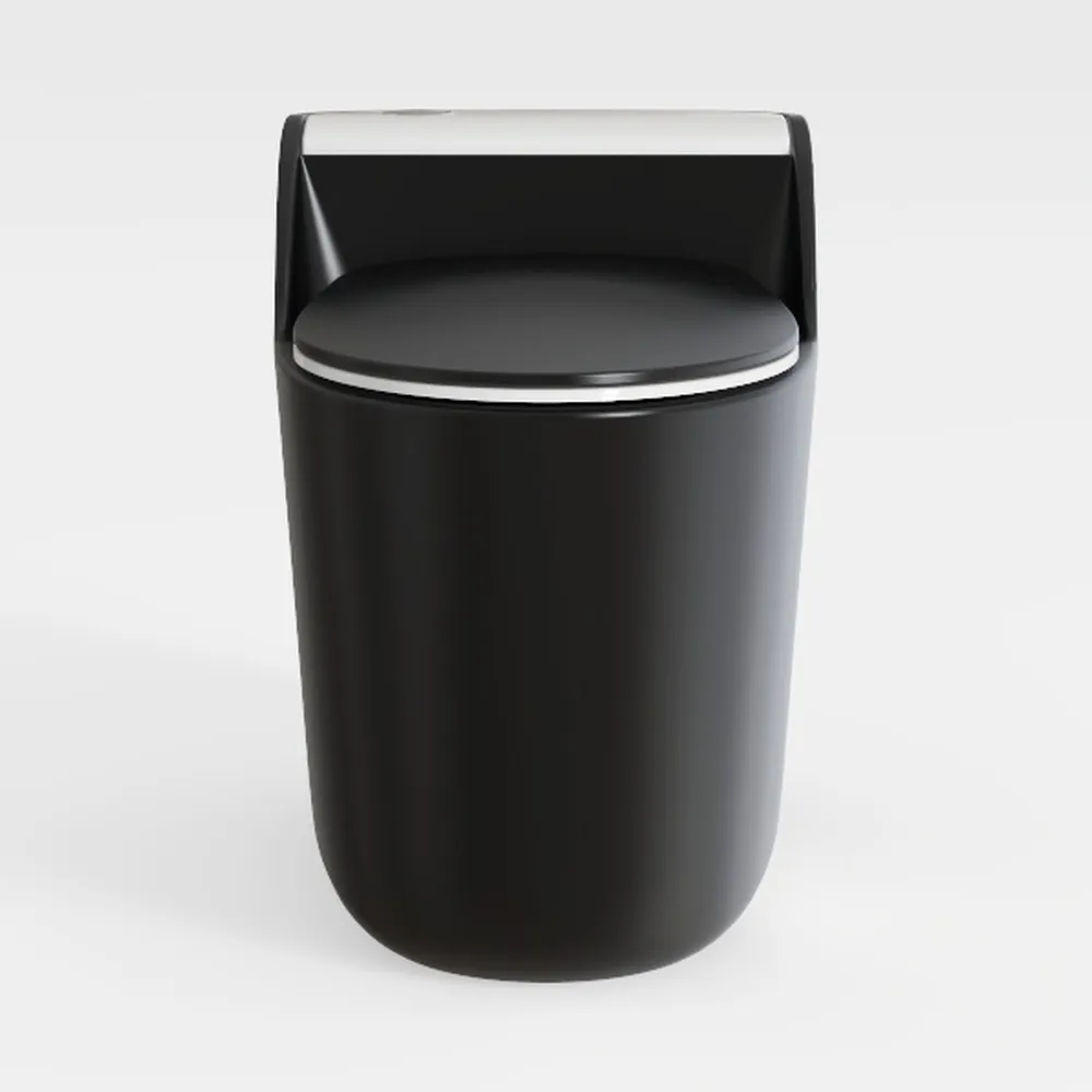 Dual Flush Elongated Standard One Piece Toilet