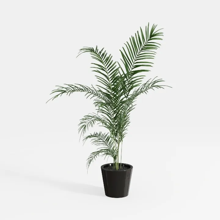 plant-Retro Foyer