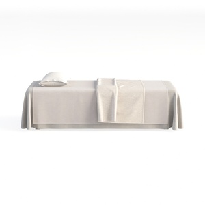 spa bed-Beauty SalonⅡ