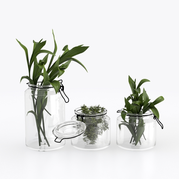 Plant Propagation Station,Hydroponic Glass