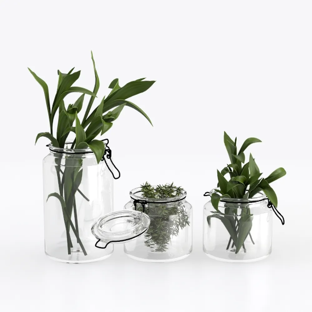 Plant Propagation Station,Hydroponic Glass