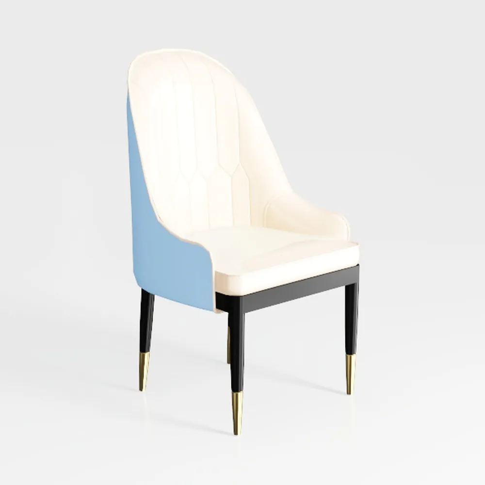 Dining Chairs Set of 2 Living Room Lounge Chairs