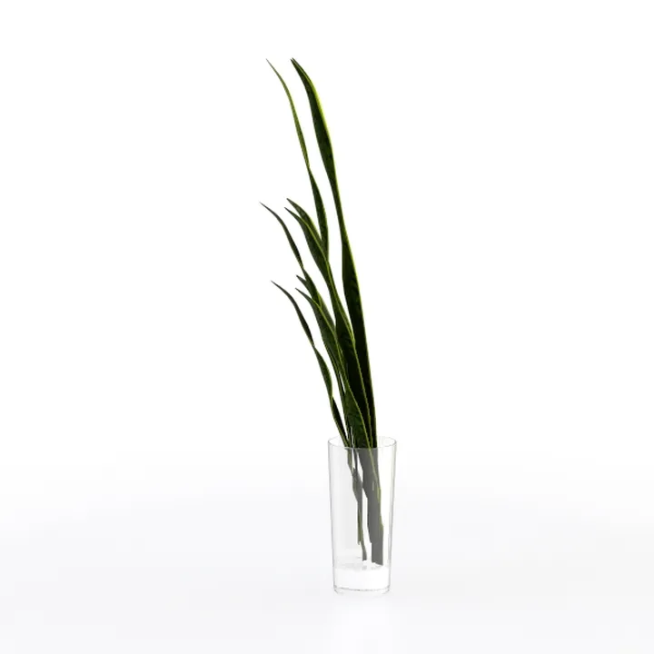 Minimalist Glass Vase with Artificial Snake Plant Leaves 3D Model