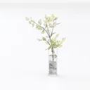 Minimalist Clear Glass Cylinder Flower Vase 3D Model Left 45 Degree View