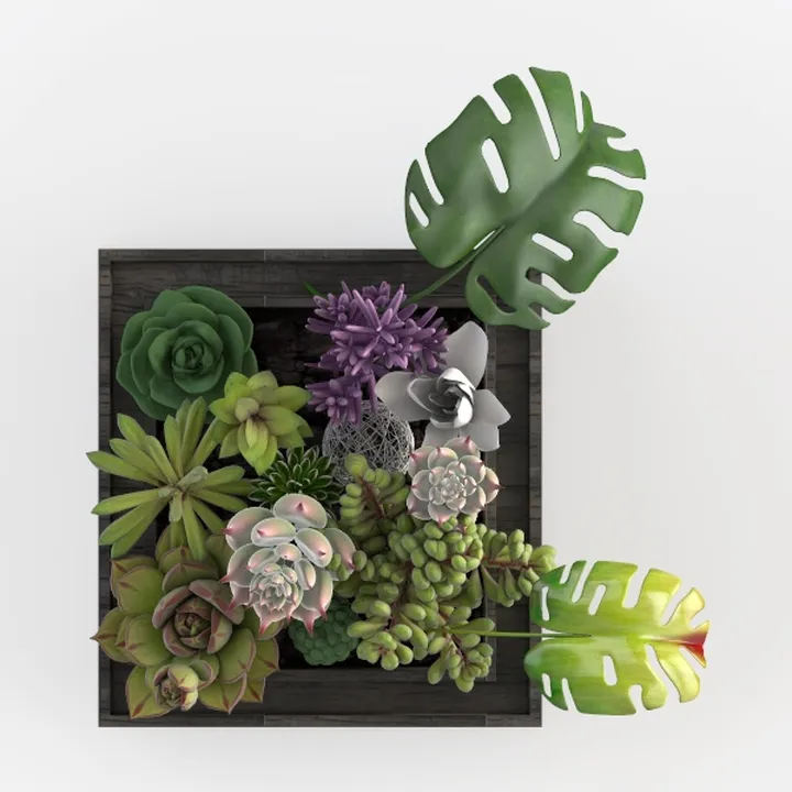 Plant Décor in Frame