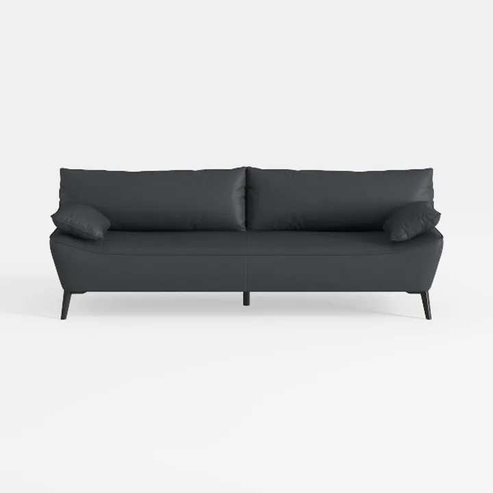 Minimalist Black Leather Modern Sofa With Accent Pillows 3D Model