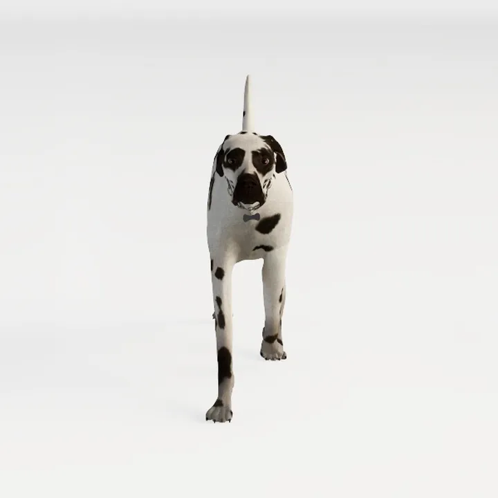 Animal-dog-puppy