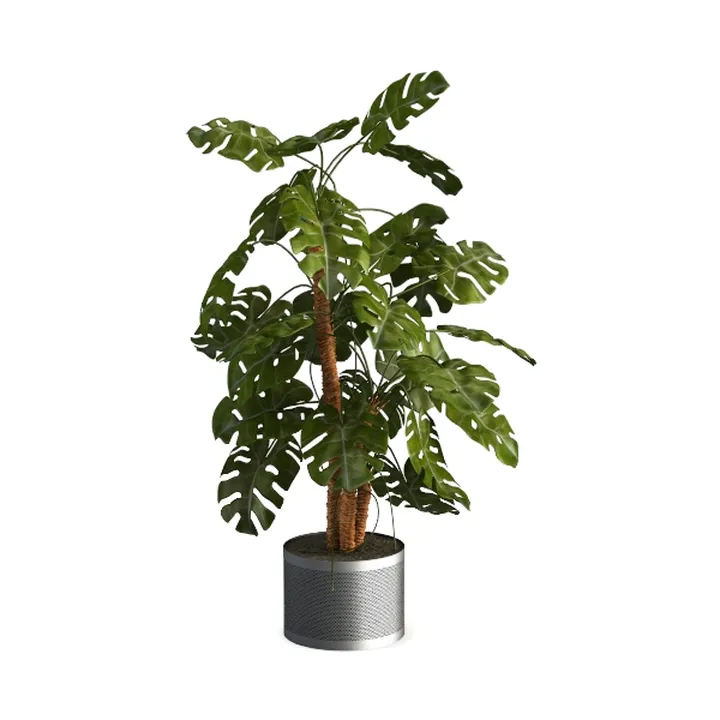 Modern Faux Monstera Deliciosa Potted Floor Plant 3D Model