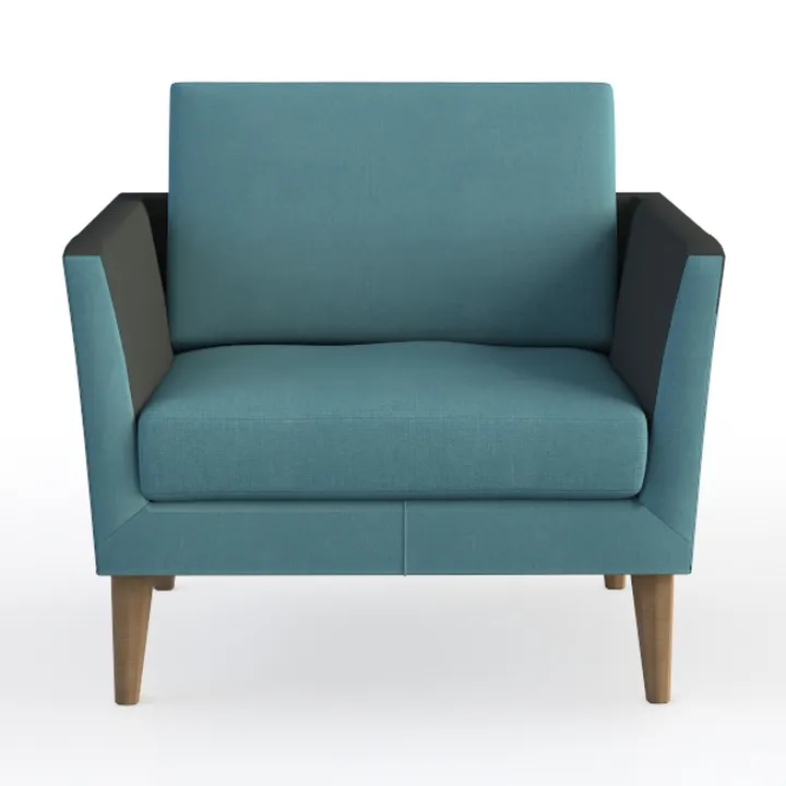 Modern Two Tone Fabric Wooden Armchair 3D Model