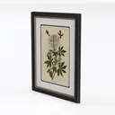 Vintage Botanical Hummingbird Framed Wall Art 3D Model Left 45 Degree View