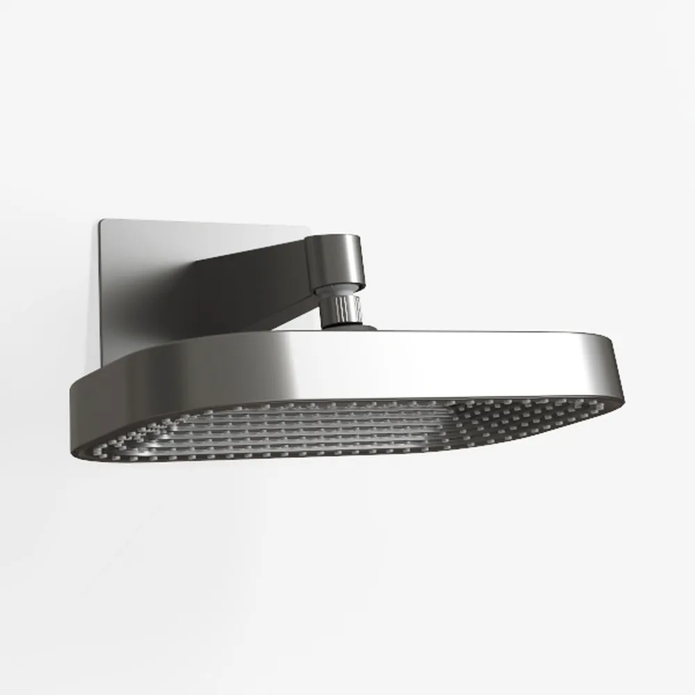 NearMoon Rain Shower Head, High Flow Stainless