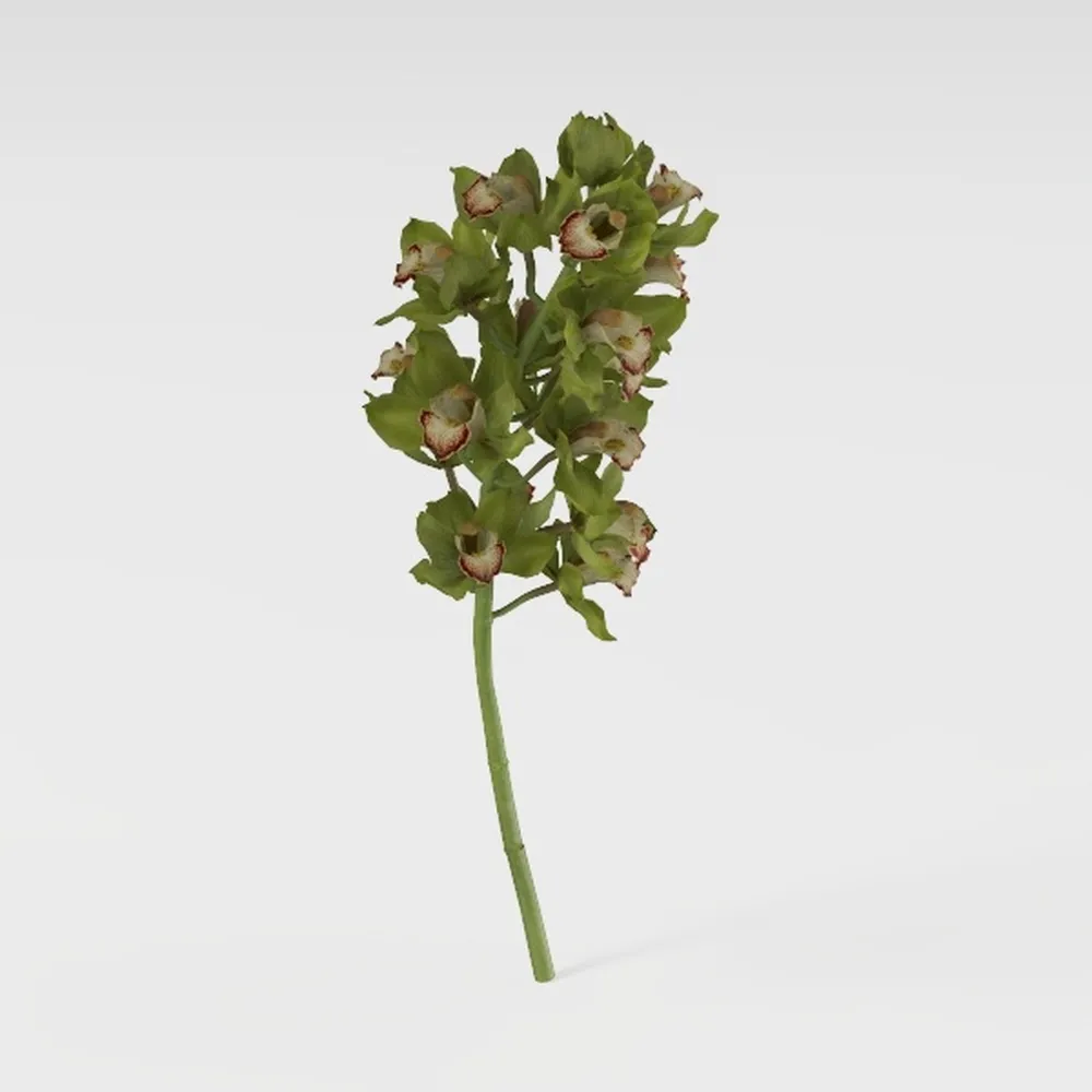 6ft Full Artificial Olive Tree (72in) with Plastic