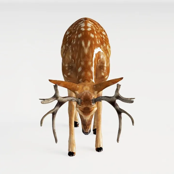 elk-Wild Kingdom
