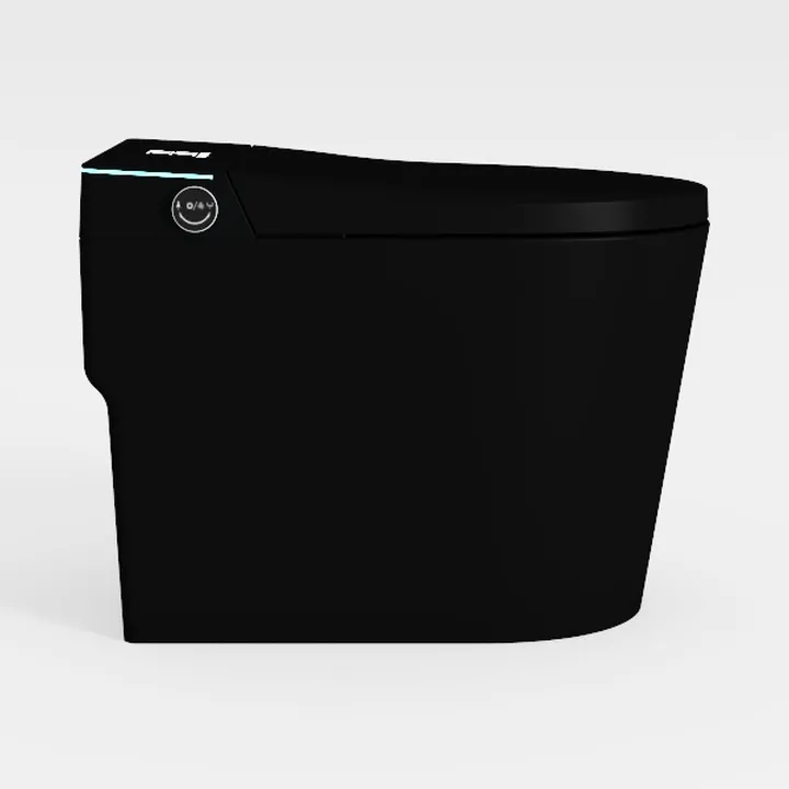 WinZo Smart toilet with bidet built in,Tankless