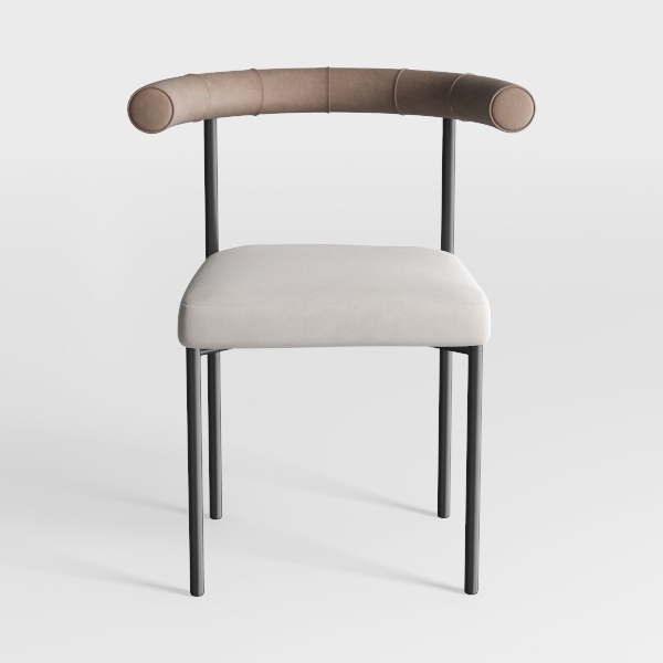 Mid-Century Modern Dining Chairs Set of 6, Armrest