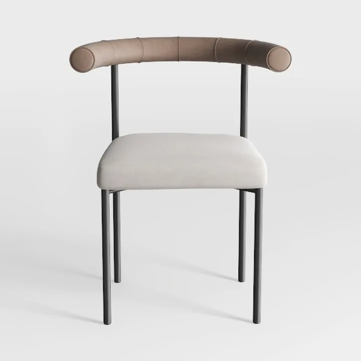 Mid-Century Modern Dining Chairs Set of 6, Armrest