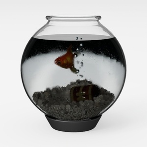 fish tank-Translucent Home