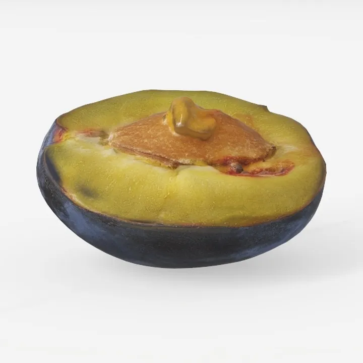 plum-Fruit
